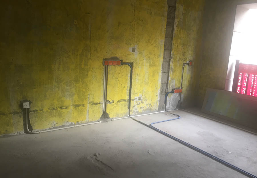 大发500-追求康健,你我一起生长