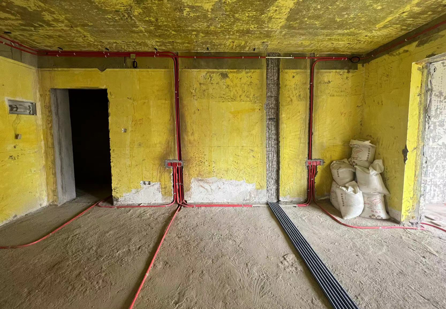 大发500-追求康健,你我一起生长