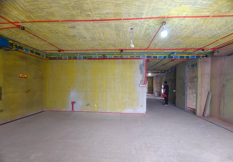 大发500-追求康健,你我一起生长