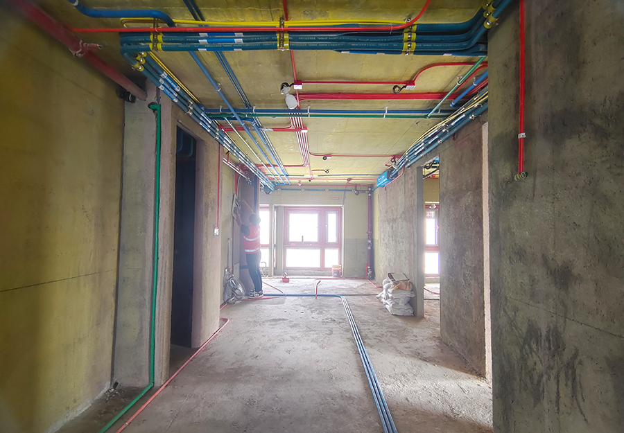 大发500-追求康健,你我一起生长